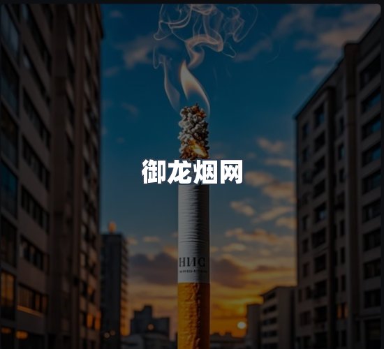 关于御龙烟网